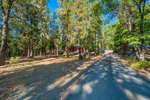 68867 Guidici Ln, Blairsden, CA 96103 - Photo 39