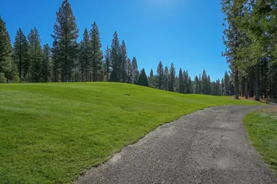 186 Big Grizzly, Portola, CA 96122 - Photo 7