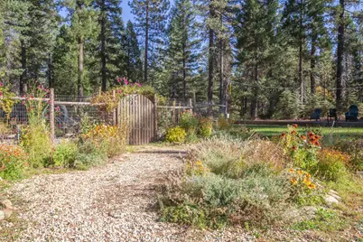 1699 Kerjackery Road, Quincy, CA 95971 - Photo 37