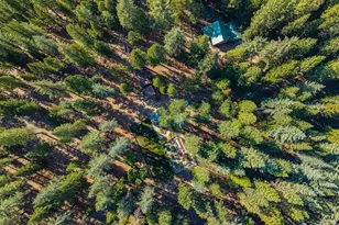 1699 Kerjackery Rd, Quincy, CA 95971 - Photo 41