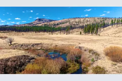 1334 Carmen Road, Chilcoot, CA 96105 - Photo 5