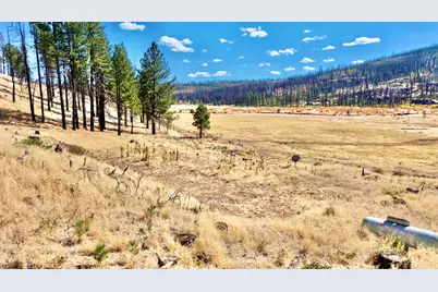 1334 Carmen Road, Chilcoot, CA 96105 - Photo 13