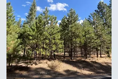 119 Saddle Ridge Road, Clio, CA 96106 - Photo 7