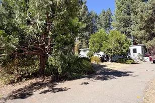 241 Ladera Ln, Delleker, CA 96122 - Photo 3