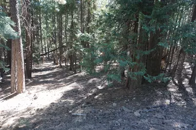 2449 Sugar Pine Trail, Quincy, CA 95971 - Photo 1