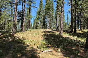 302 Boulder Dr, Clio, CA 96106 - Photo 1