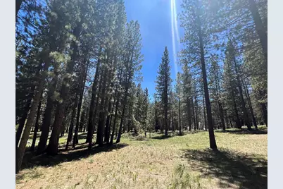 225 Gold Nugget Lane #1, Graeagle, CA 96103 - Photo 1