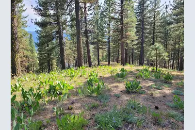 221 Cayden Drive, Clio, CA 96106 - Photo 1