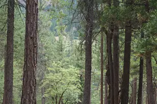 00000 Hwy 70, Quincy, CA 95971 - Photo 1