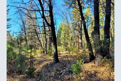 59791 Highway 70, Blairsden, CA 96103 - Photo 1