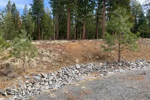 119 Smith Peak Dr, Portola, CA 96122 - Photo 1