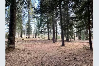 304 Osprey Loop, Chester, CA 96020 - Photo 1