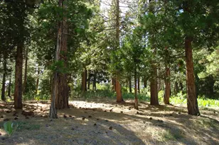 43 Snowbush Way, Portola, CA 96122 - Photo 1
