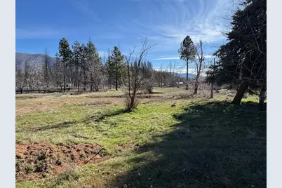 104 Williams Valley Road, Greenville, CA 95947 - Photo 1