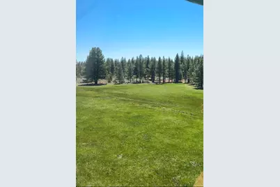 Xxxx Doyle Grade, Chilcoot, CA 96105 - Photo 1