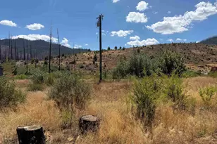 232 Greenville Wolf Creek Rd, Greenville, CA 95947 - Photo 1