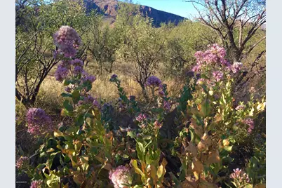 31 Poorwill Canyon Ct #16, Tubac, AZ 85646 - Photo 7