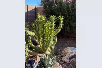 2442 W Tom Watson Drive, Tucson, AZ 85742 - Photo 37