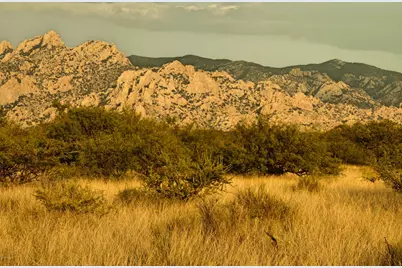 Lot 16 N Dragoon Ranch Road #16, Saint David, AZ 85630 - Photo 13