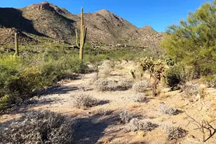 14562 N Dove Canyon Pass, Marana, AZ 85658 - Photo 5