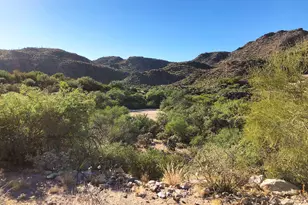 14562 N Dove Canyon Pass, Marana, AZ 85658 - Photo 7