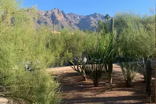 6651 N Campbell Ave, Tucson, AZ 85718 - Photo 25