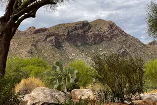 7601 N Calle Sin Envidia, Tucson, AZ 85718 - Photo 31