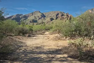 6655 N Canyon Crest, Tucson, AZ 85750 - Photo 25