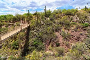 5251 E Mission Hill Dr, Tucson, AZ 85718 - Photo 27