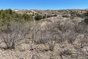 205 Calle Ranuculo, Rio Rico, AZ 85648 - Photo 1