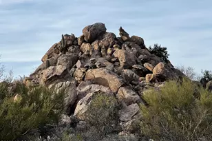 548 W Granite Gorge Dr, Oro Valley, AZ 85755 - Photo 21
