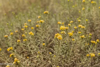 16321 N Lago Del Oro Parkway, Tucson, AZ 85739 - Photo 21