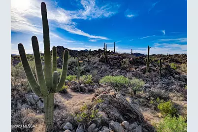 478 W Granite Gorge Drive #562, Oro Valley, AZ 85755 - Photo 3