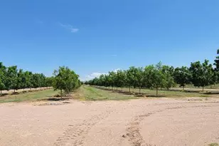 2975 N Indian Springs Rd, San Simon, AZ 85632 - Photo 25