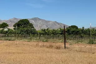 Tbd E Christmas Tree Ln, Pearce, AZ 85625 - Photo 1