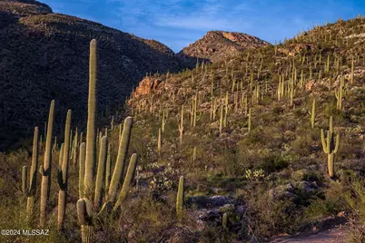 12959 E Cabeza De Vaca #Lot A, Tucson, AZ 85749 - Photo 23