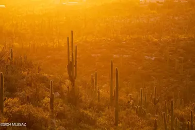 12959 E Cabeza De Vaca #Lot A, Tucson, AZ 85749 - Photo 13