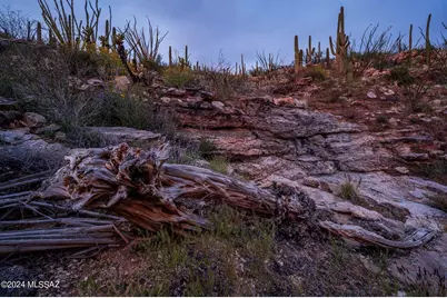 12989 E Cabeza De Vaca #Lot B, Tucson, AZ 85749 - Photo 13