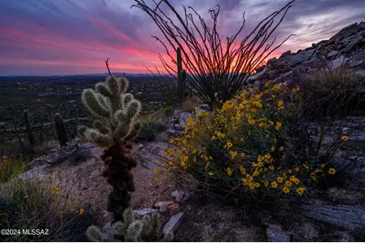 12969 E Cabeza De Vaca #Lot D, Tucson, AZ 85749 - Photo 11