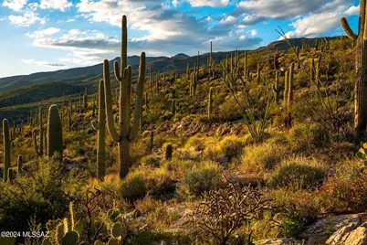 12969 E Cabeza De Vaca #Lot D, Tucson, AZ 85749 - Photo 17