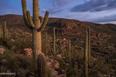 12969 E Cabeza De Vaca #Lot D, Tucson, AZ 85749 - Photo 21