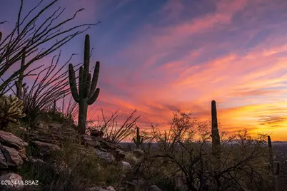 12969 E Cabeza De Vaca #Lot D, Tucson, AZ 85749 - Photo 9