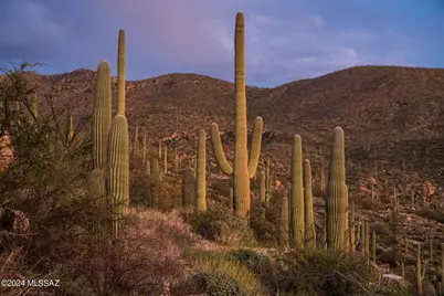 12969 E Cabeza De Vaca #Lot D, Tucson, AZ 85749 - Photo 13
