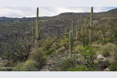 12979 E Cabeza De Vaca #Lot E, Tucson, AZ 85749 - Photo 23