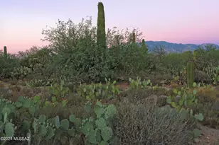 11876 N Vista Del Sol, Oro Valley, AZ 85742 - Photo 1