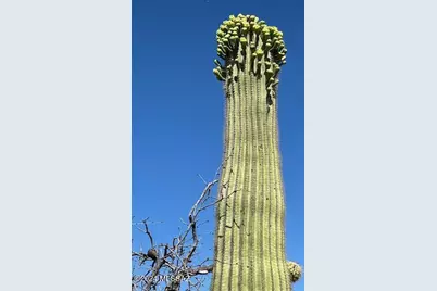 0 Prince Road, Tucson, AZ 85750 - Photo 31