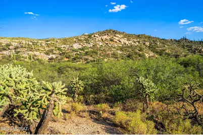 16500 N Ridge Rock Trail, Tucson, AZ 85739 - Photo 27