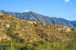 16500 N Ridge Rock Trail, Tucson, AZ 85739 - Photo 17