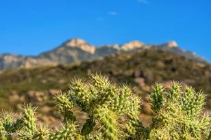 16500 N Ridge Rock Trail, Tucson, AZ 85739 - Photo 11