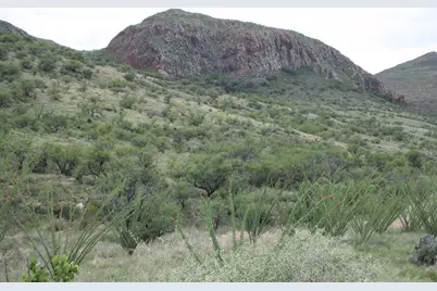 140 Tejano Springs Road #38.1, Tubac, AZ 85646 - Photo 15